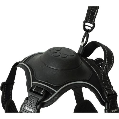 Harnais Easy Ride avec laisse enrouleur intégrée, innovation 2025