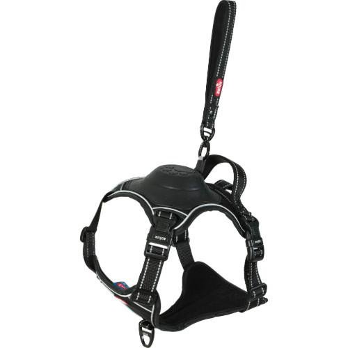 Harnais Easy Ride avec laisse enrouleur intégrée, innovation 2025