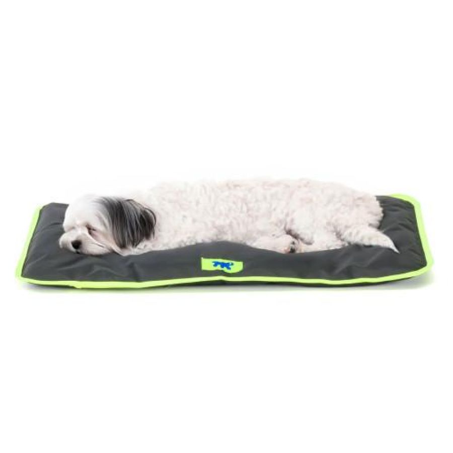 Tapis pour Chien imperméable : Confortable, résistant JOLLY