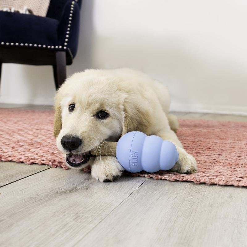 Bâtonnets à mâcher KONG Ziggies Puppy