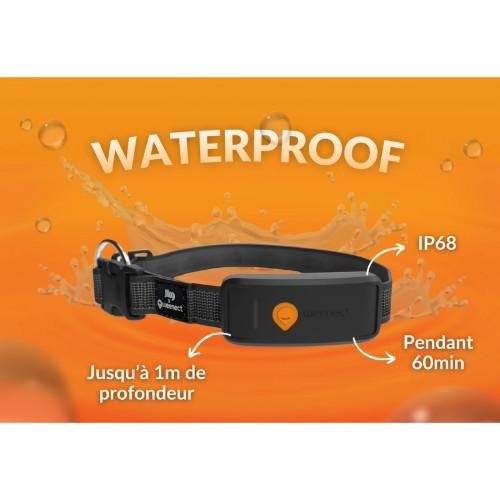 Collier GPS pour chien Weenect XT