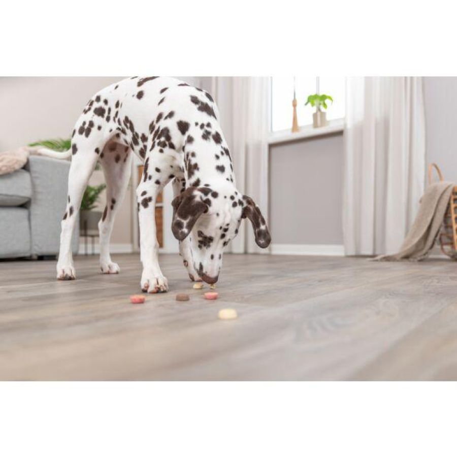 Friandises cookie Véganes pour Chien 1.3KG