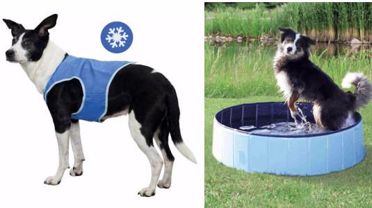 Quels sont les autres produits rafraîchissants pour chien ?