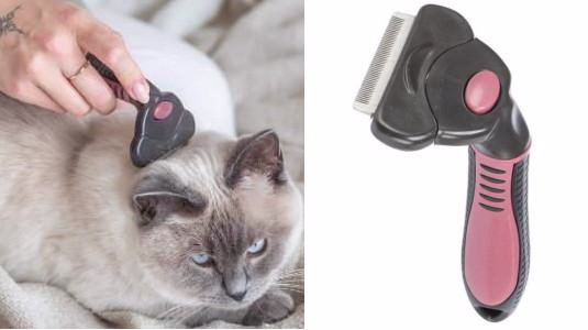 Quelle est la meilleure brosse pour un chat à poil court ?