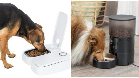 Distributeur automatique de croquettes : Une alimentation programmée et équilibrée