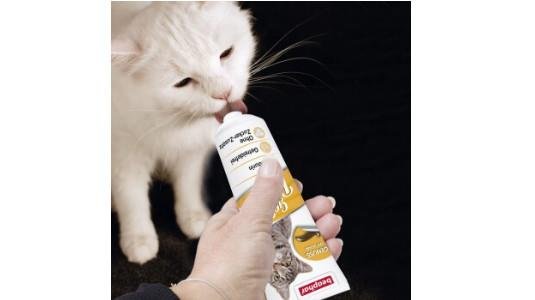 Quels sont les bienfaits de la pâte appétente pour chat ?