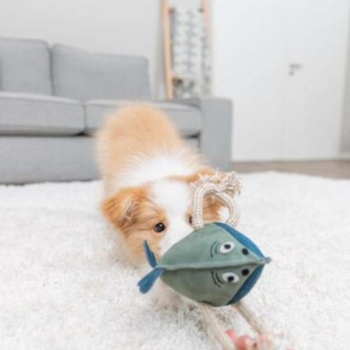 Jouet chien cuir véritable et corde poisson