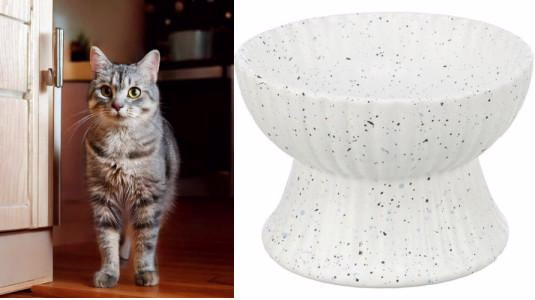 Quelles sont les meilleures gamelles pour chat ?