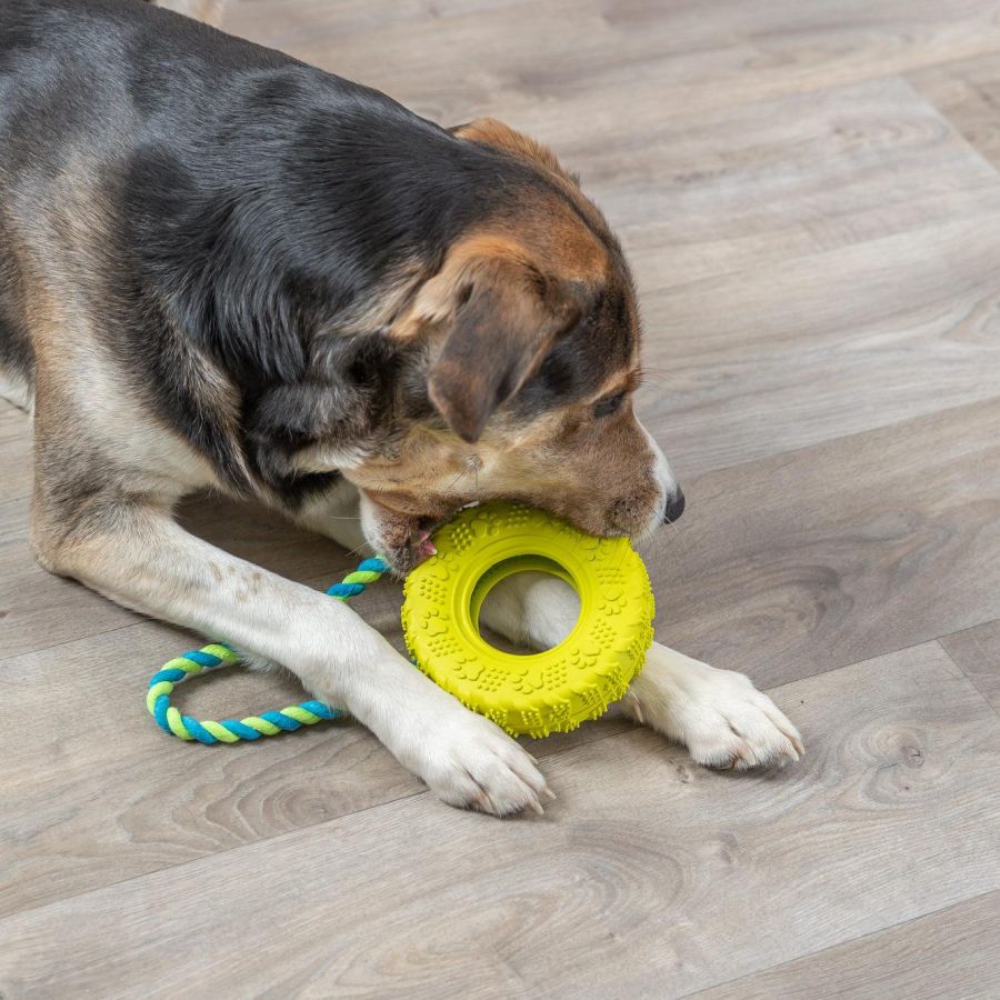 Jouet pneu avec corde pour chien destructeur