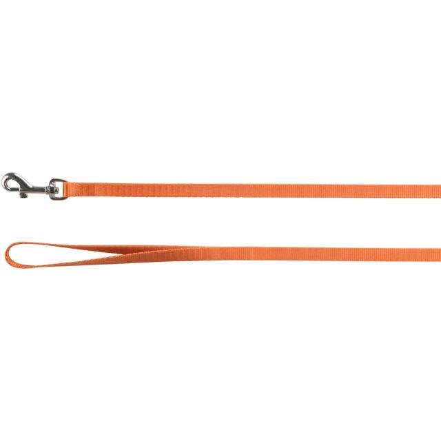 Harnais + Laisse pour chat Uni