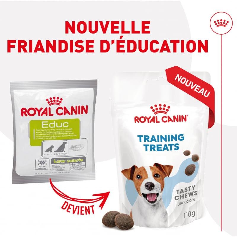 Friandises éducation chien training treats