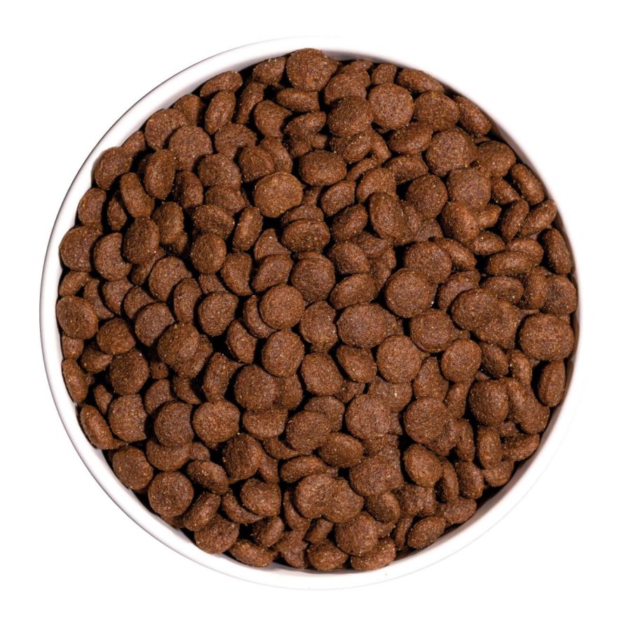 Croquettes chiot classic junior