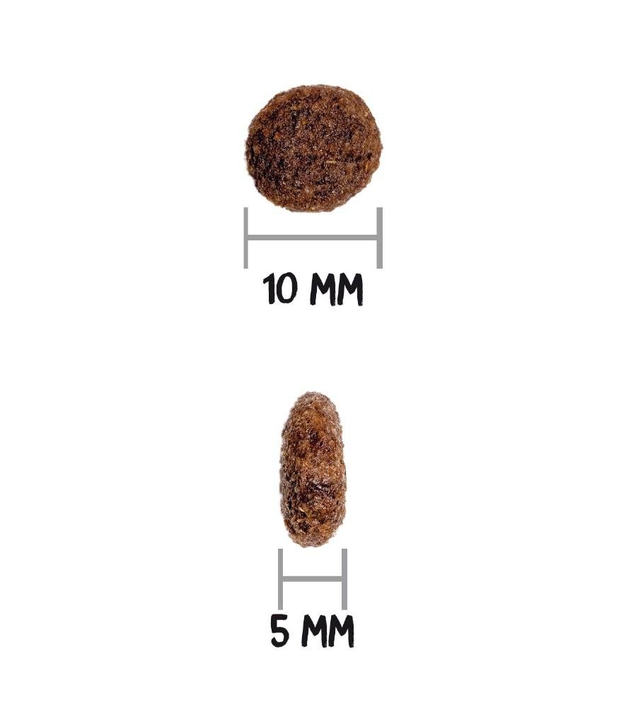 Croquettes classic mini adult poulet