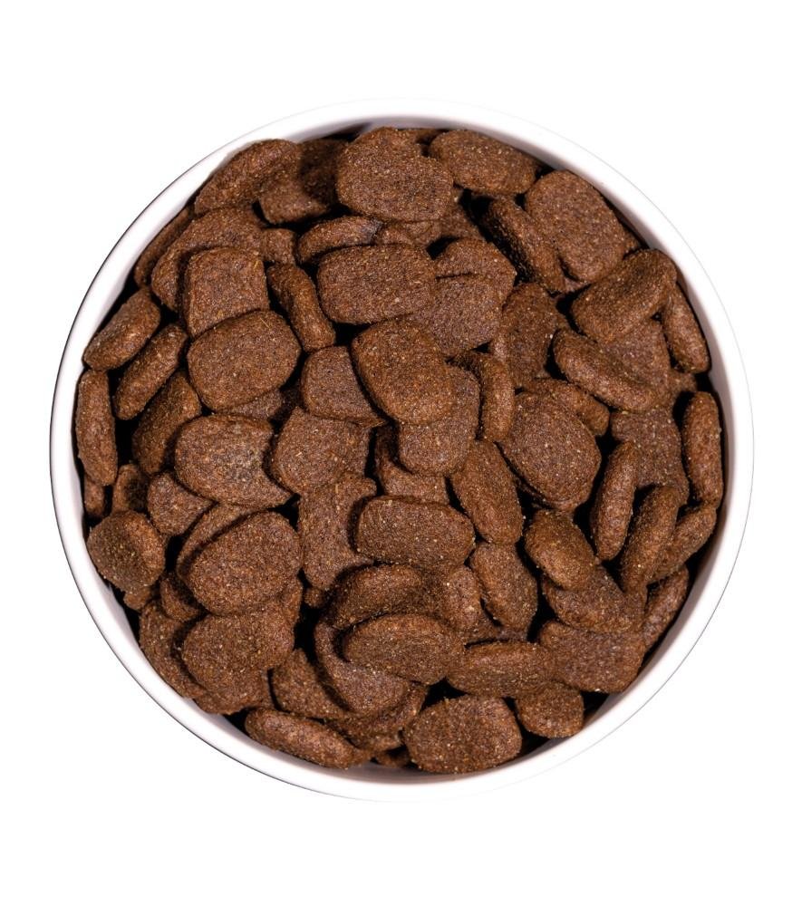 Croquettes classic complet