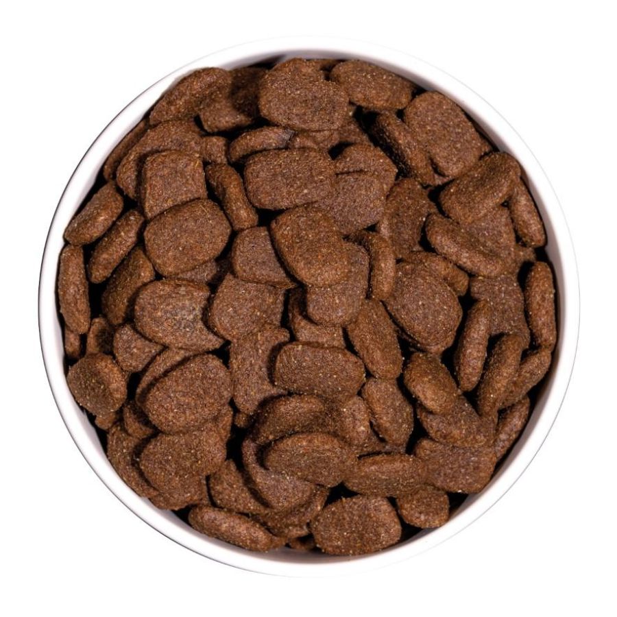 Croquettes classic complet