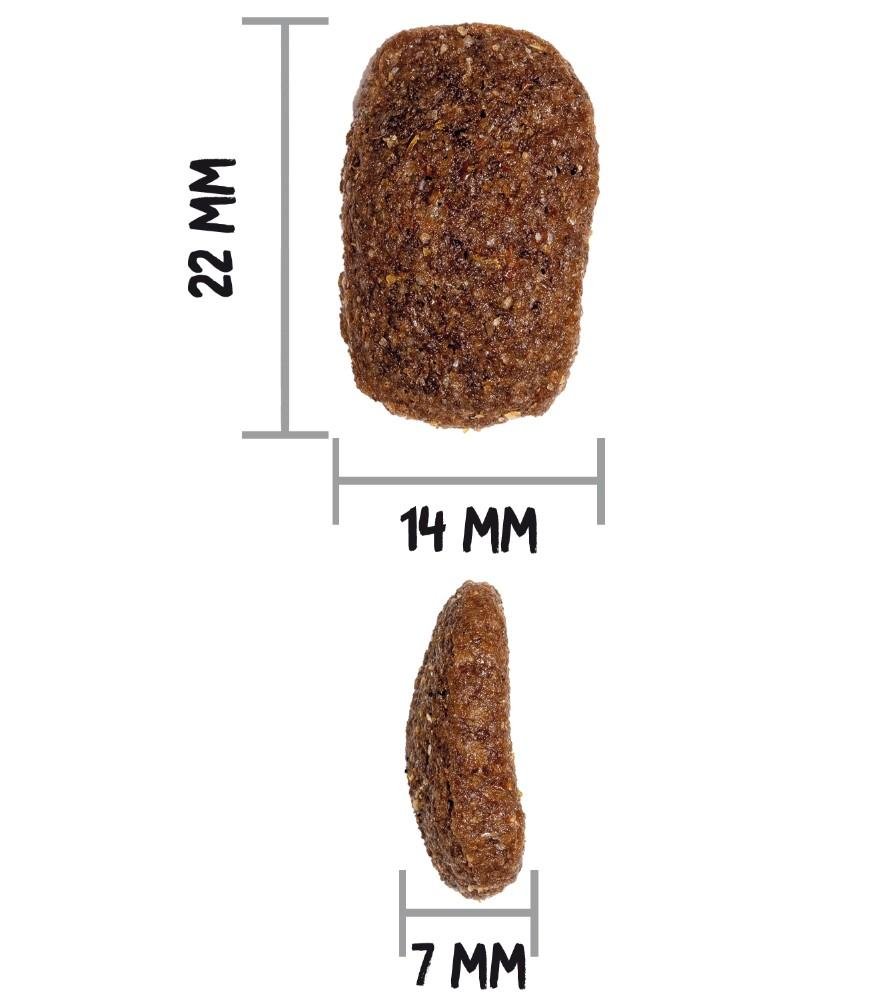 Croquettes classic complet