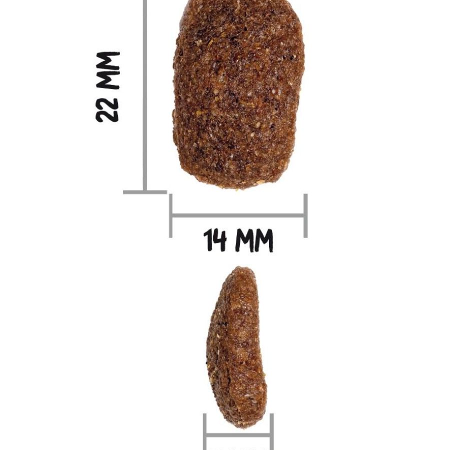 Croquettes classic complet