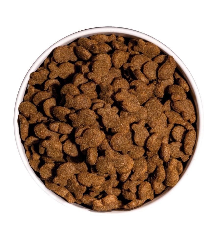 Croquettes classic poisson frais