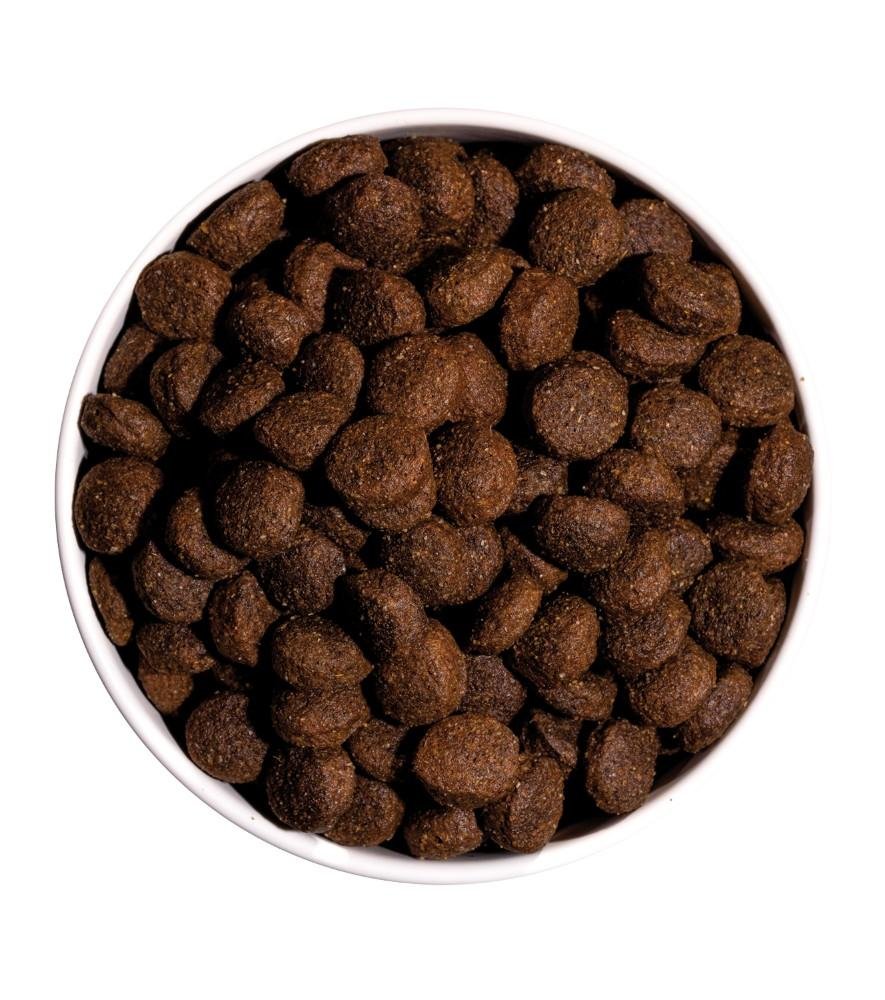 Croquettes classic energy chien sportif