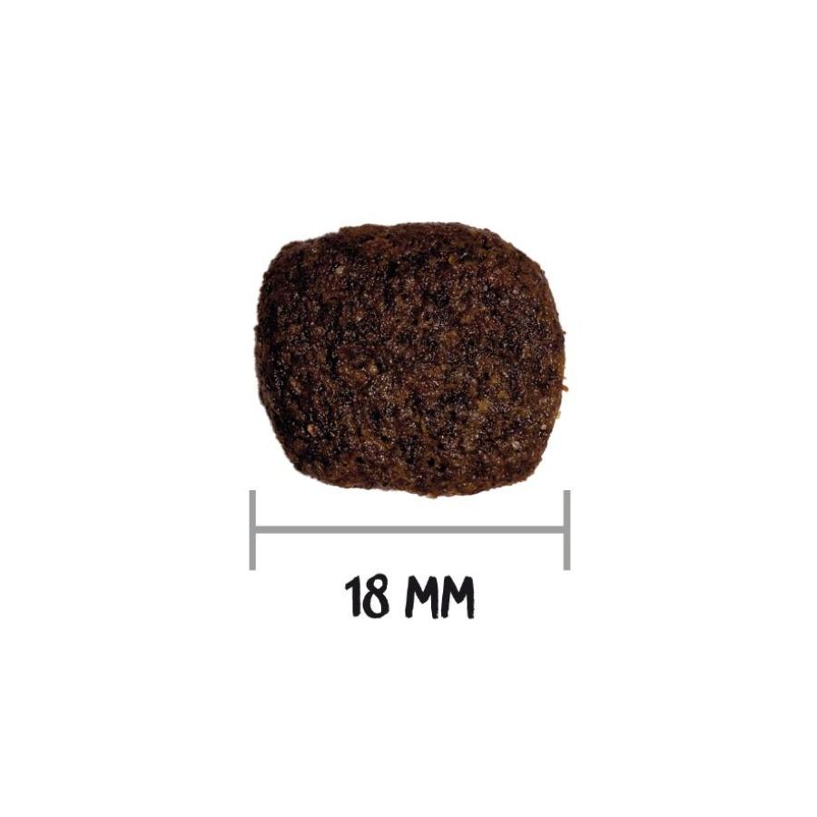 Croquettes sans céréales hypoallergéniques Agneau