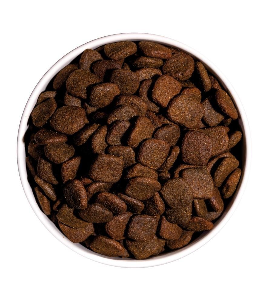 Croquettes sans céréales hypoallergéniques au saumon pour chien sensible