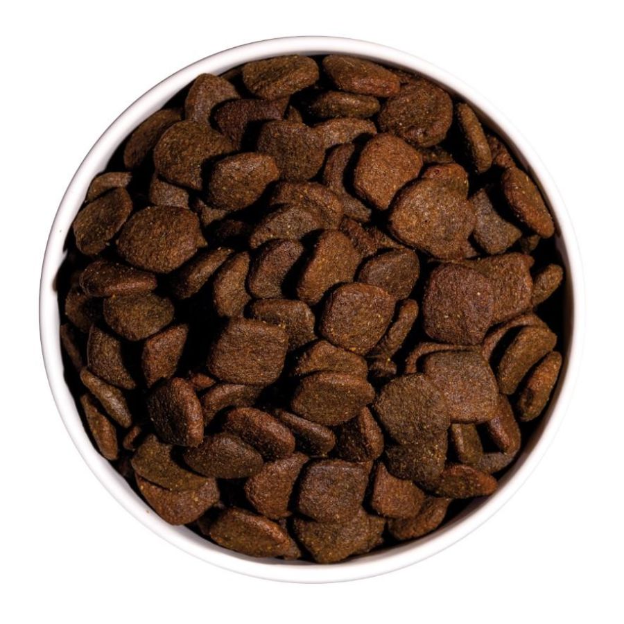 Croquettes sans céréales hypoallergéniques au saumon pour chien sensible