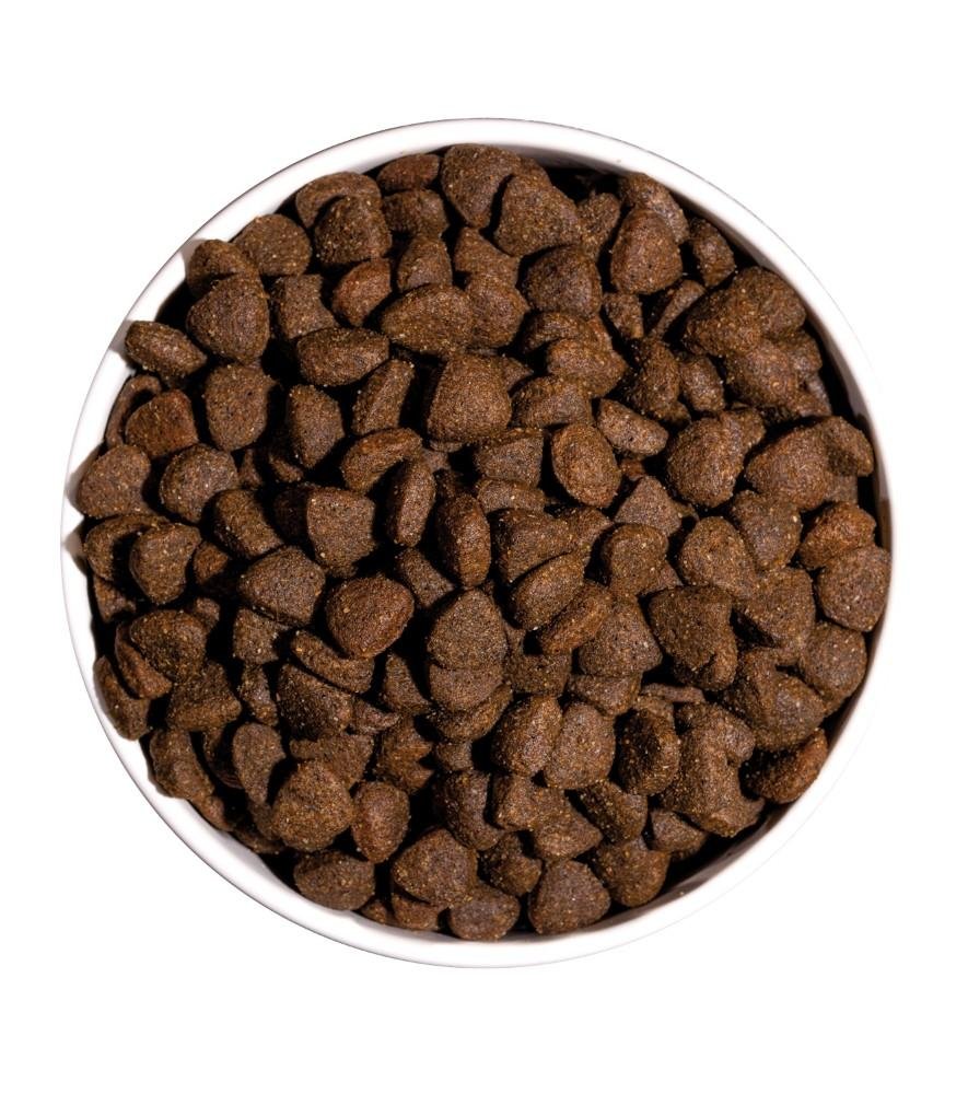 Croquettes just grain free pour chien adulte au poulet