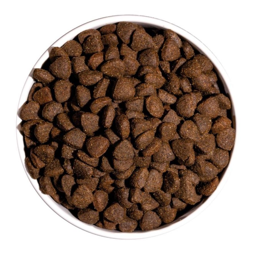 Croquettes just grain free pour chien adulte au poulet