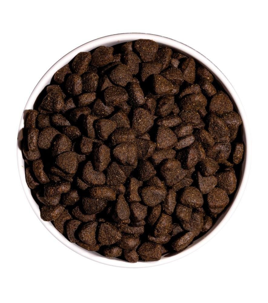 Croquettes just grain free pour chien adulte au saumon