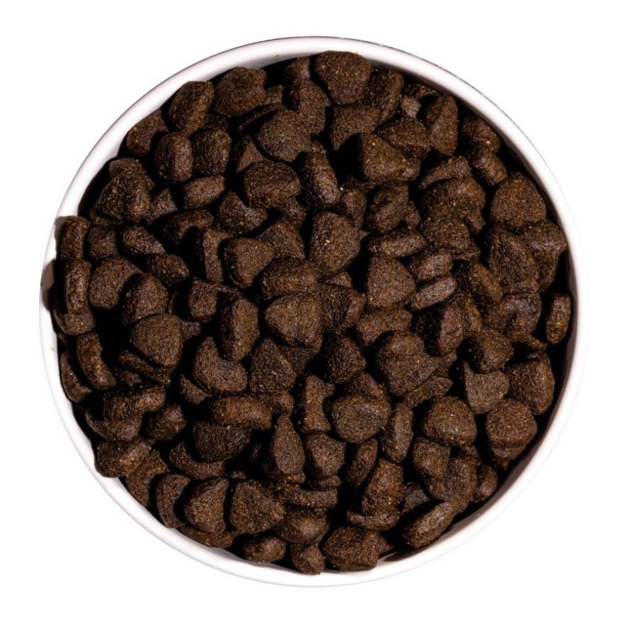 Croquettes just grain free pour chien adulte au saumon