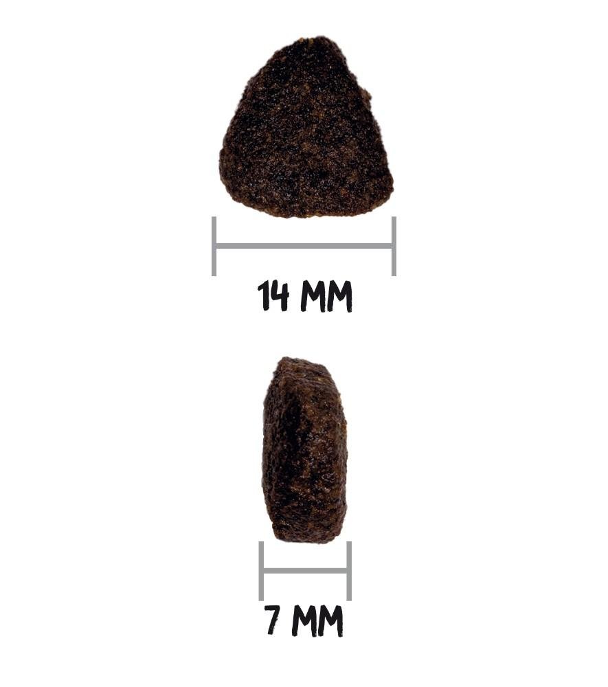 Croquettes just grain free pour chien adulte au saumon