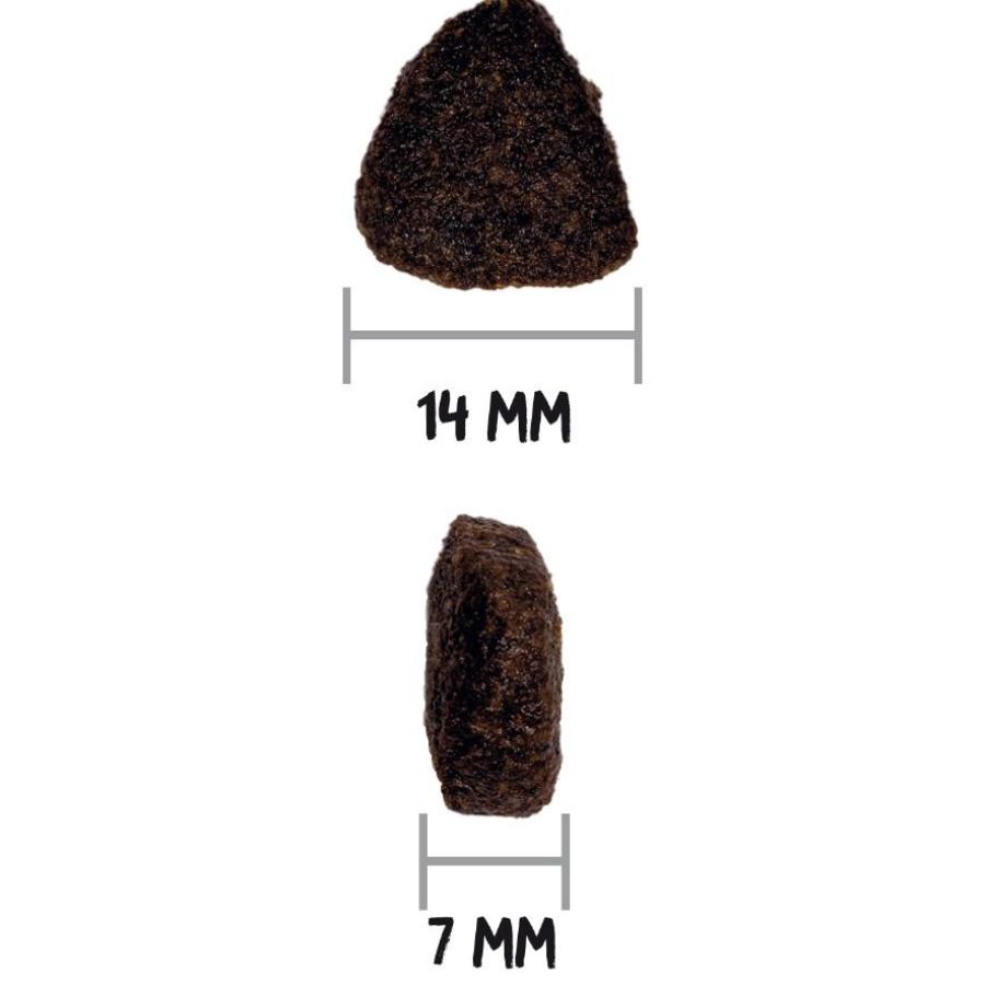 Croquettes just grain free pour chien adulte au saumon