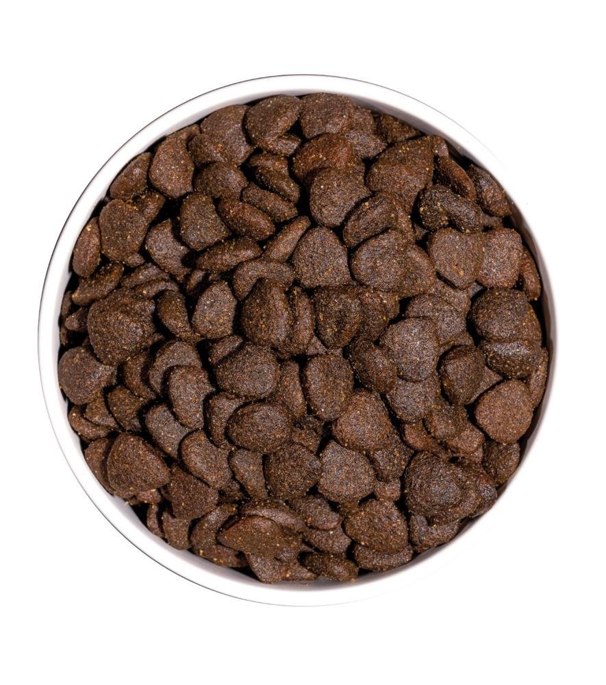 Croquettes just grain free pour chien adulte à l'agneau