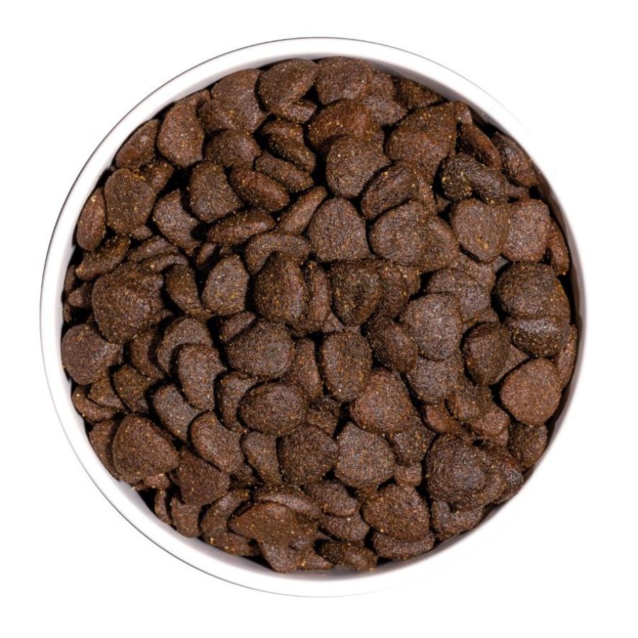 Croquettes just grain free pour chien adulte à l'agneau