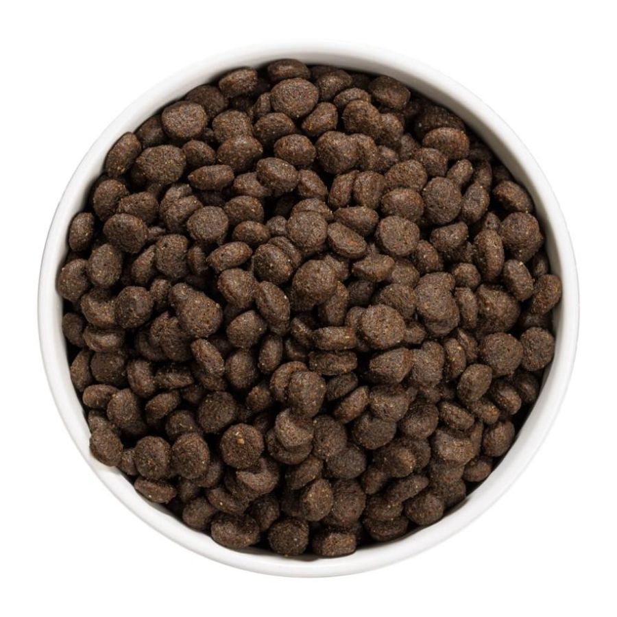 Croquettes Just Grain Free Junior Sans Céréales pour Chiots