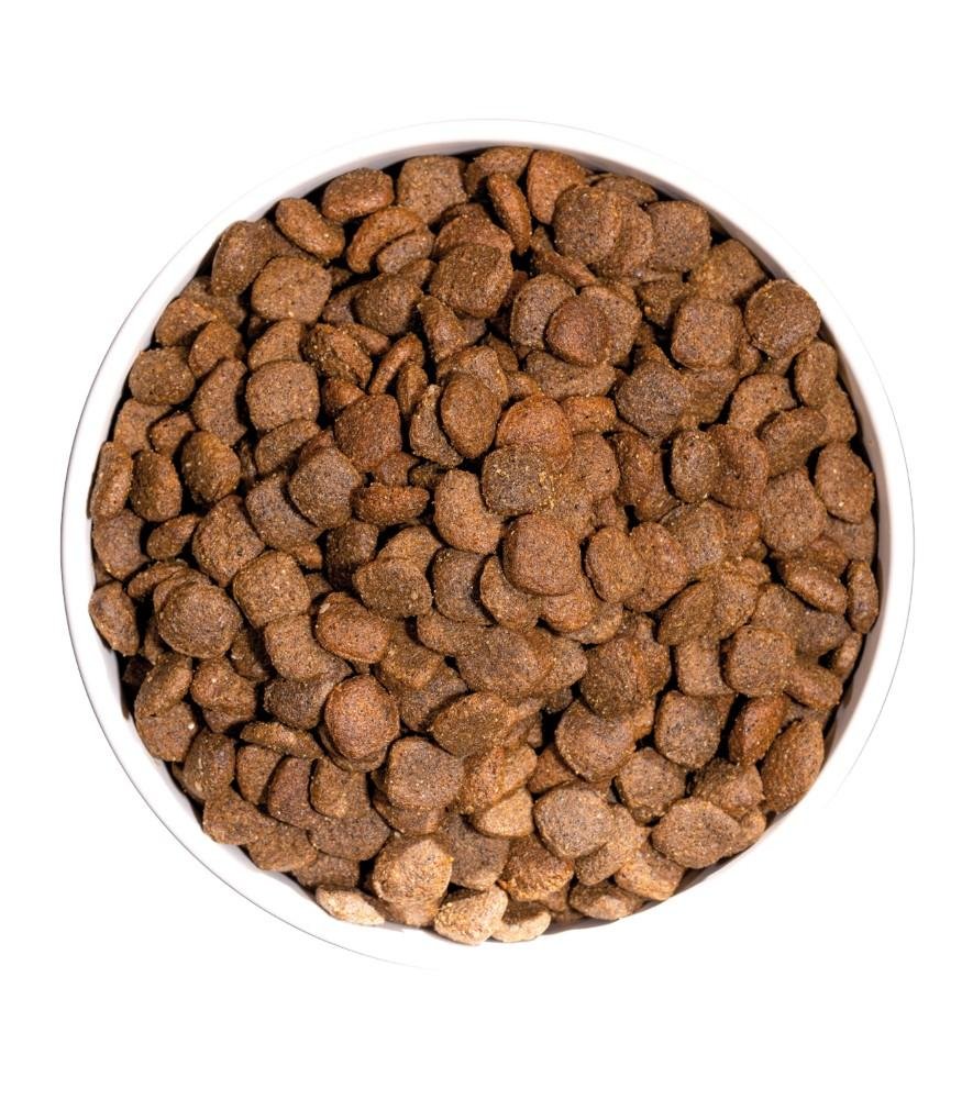 Croquettes Just GF canard Sans céréales pour chien adulte