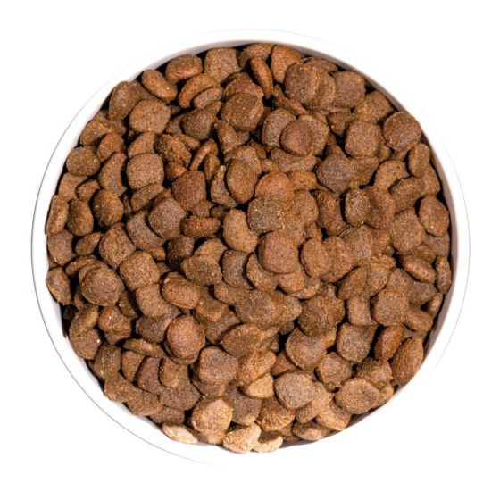 Croquettes Just GF canard Sans céréales pour chien adulte