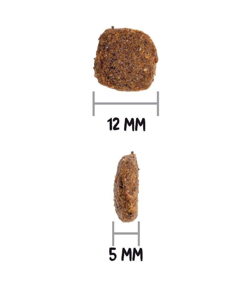 Croquettes Just GF canard Sans céréales pour chien adulte
