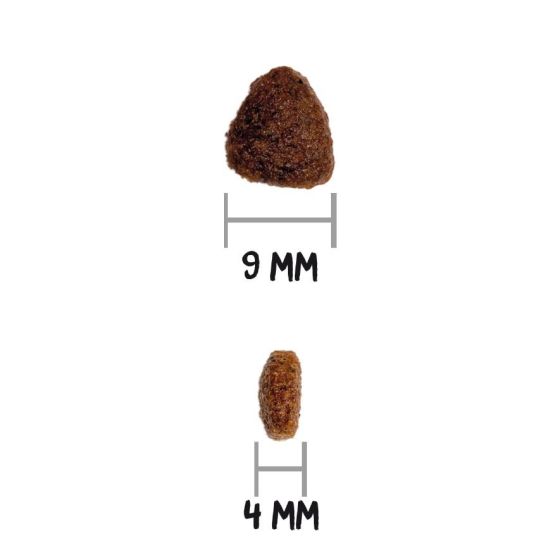 Croquettes Classic Kitten, Naturelles pour Chaton de 1 à 12 mois