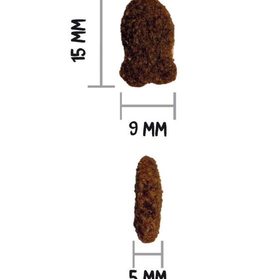 Croquettes Classic Fish – Croquettes Naturelles au Poisson pour Chat Adulte