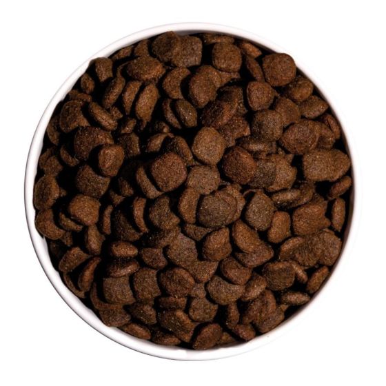 Croquettes Ultra Medium Agneau & Riz pour Chien