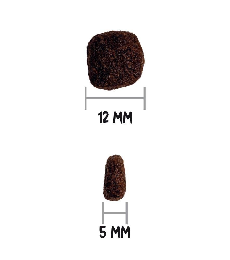 Croquettes Ultra Medium Agneau & Riz pour Chien