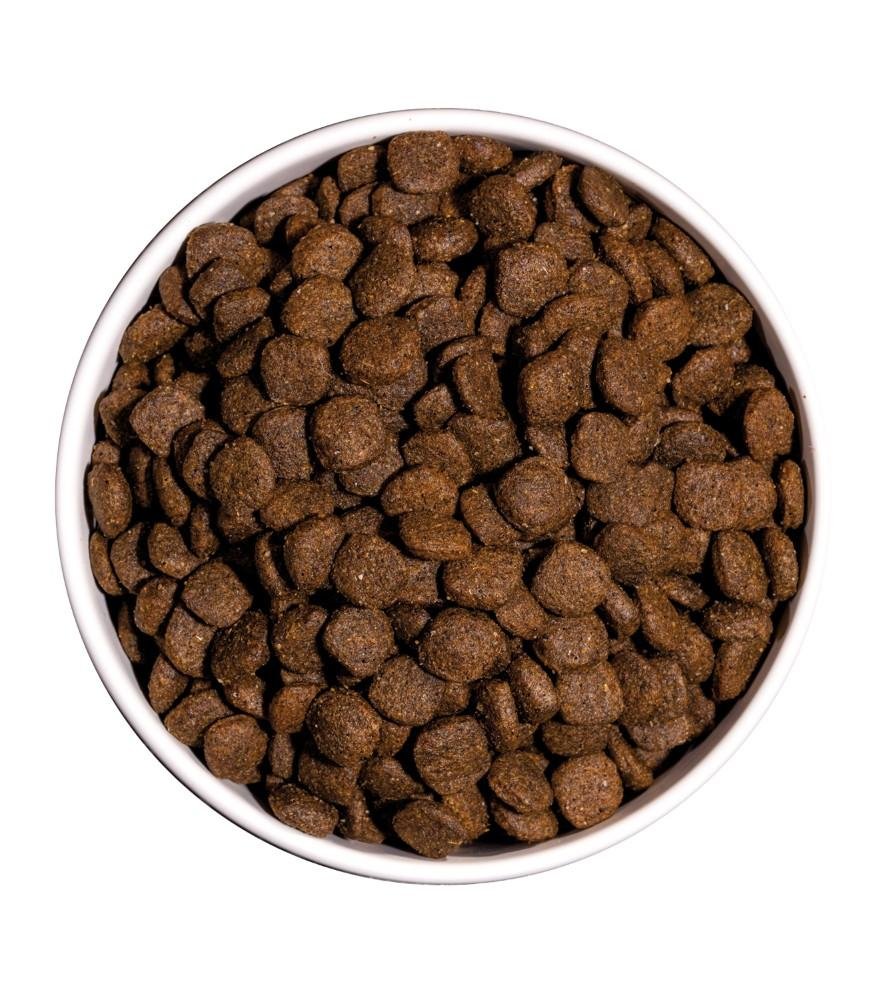 Croquettes Ultra Medium Junior pour chiot de taille moyenne