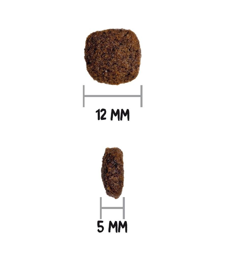 Croquettes Ultra Medium Junior pour chiot de taille moyenne