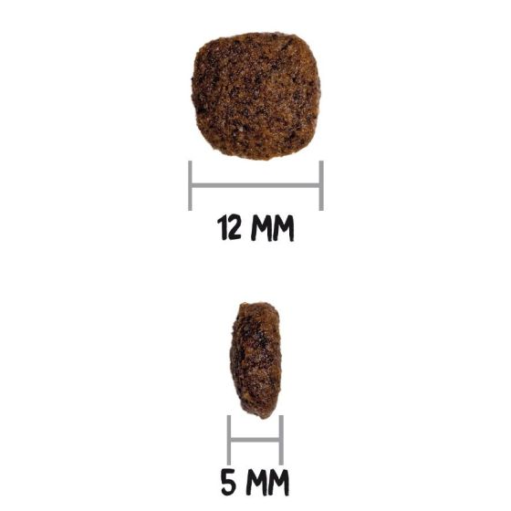 Croquettes Ultra Medium Junior pour chiot de taille moyenne