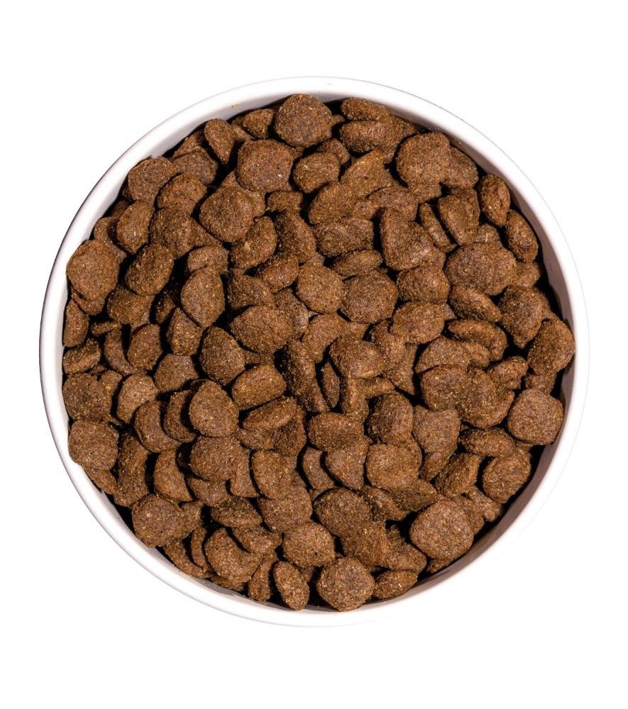Croquettes Ultra Medium sterilisé chien moyen