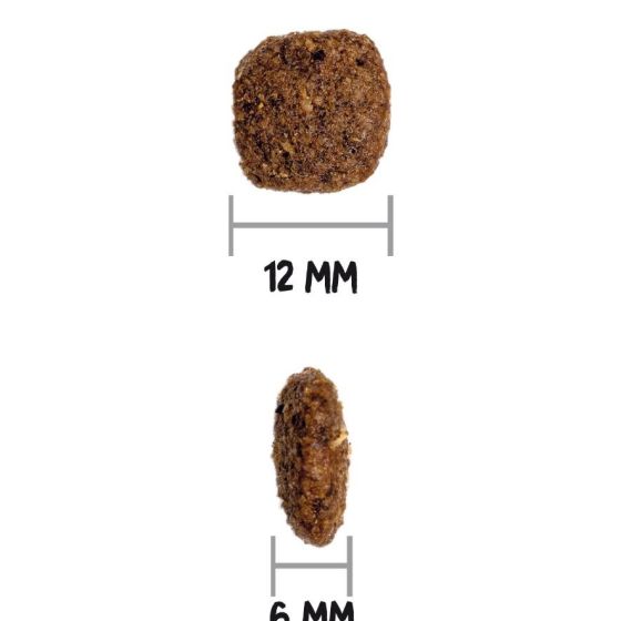 Croquettes Ultra Medium sterilisé chien moyen