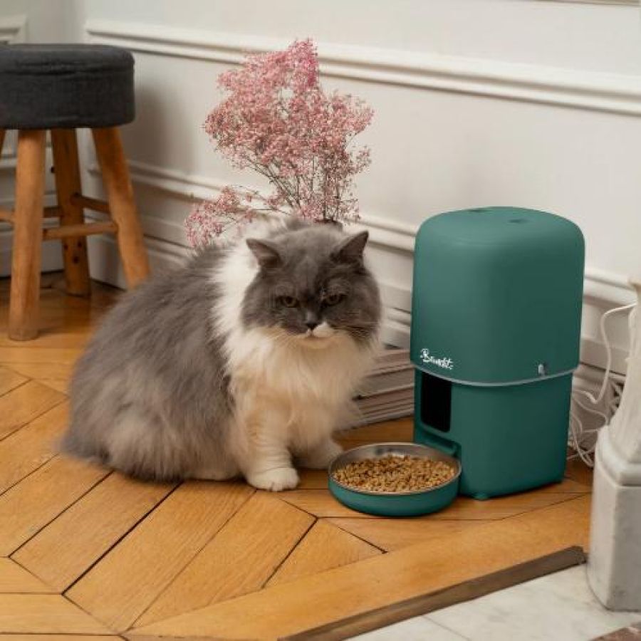 Distributeur automatique de croquettes intelligent, connecté 4L