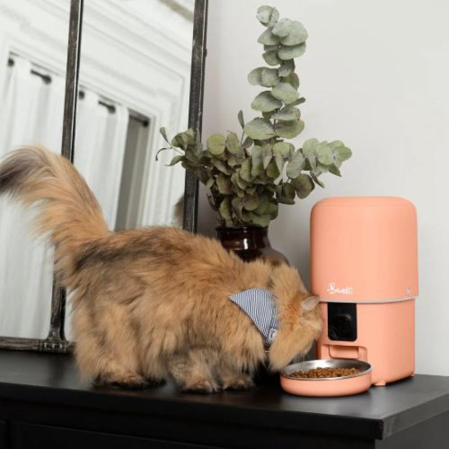 Distributeur automatique de croquettes intelligent, connecté 4L