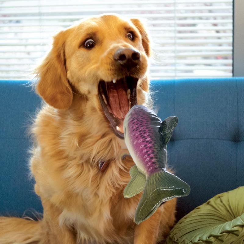 Jouet KONG Wild Shieldz Trout Medium Flottant et Résistant pour Chien